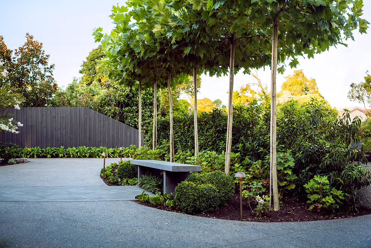 Elevate Landscape Design Hawthorn Project