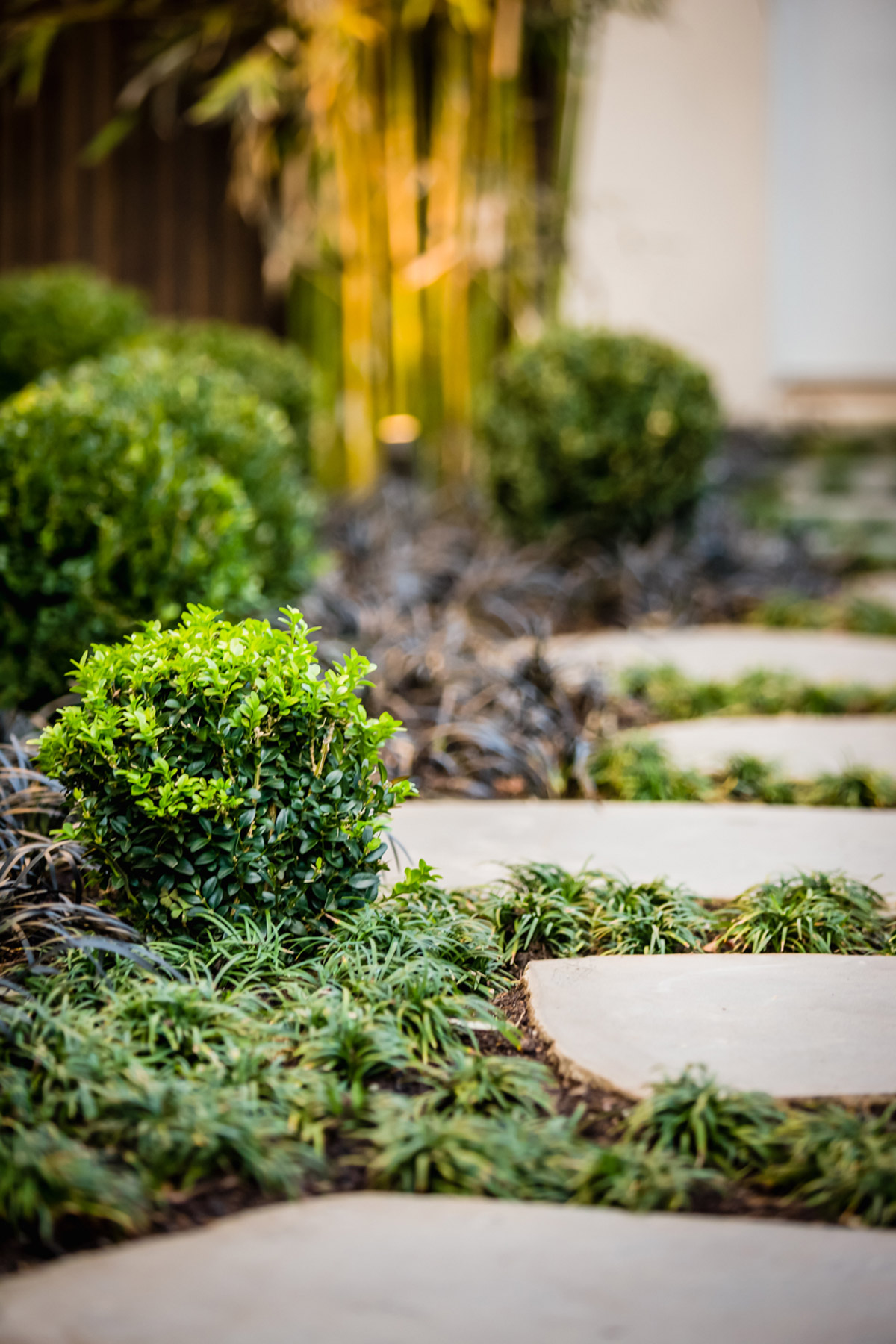 Elevate Landscape Design McKinnon Project