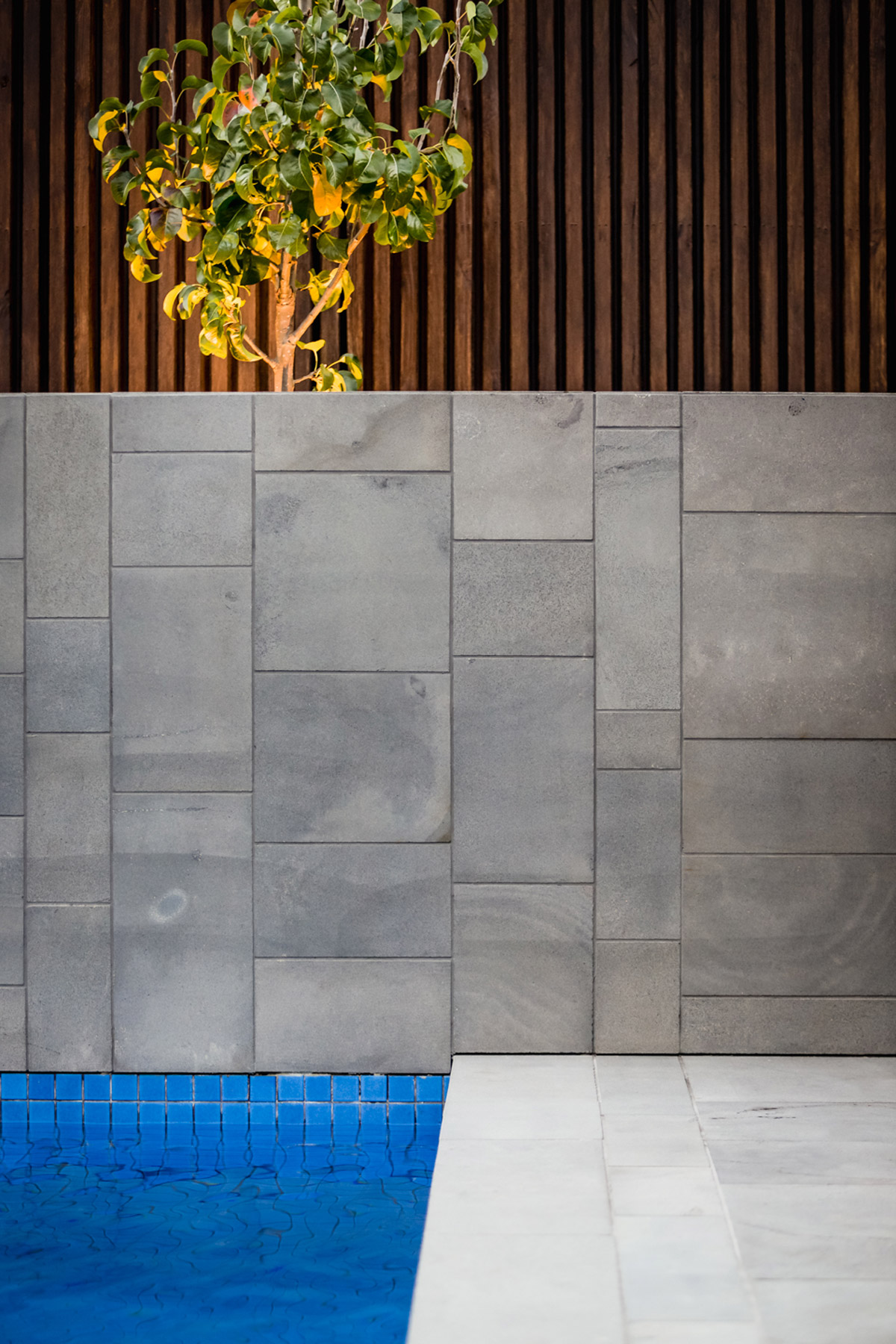 Elevate Landscape Design McKinnon Project